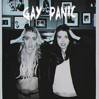 Gay Panic