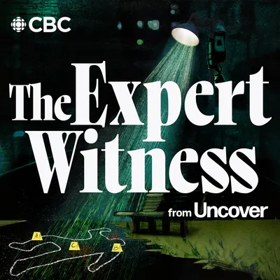 The Expert Witness from Uncover