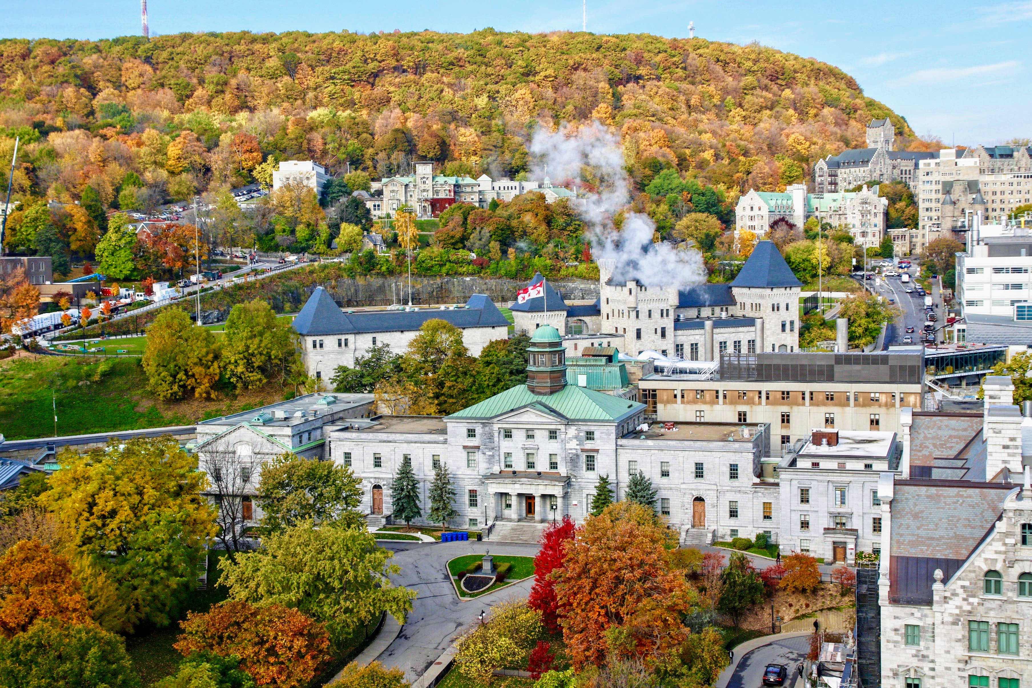 McGill University Background