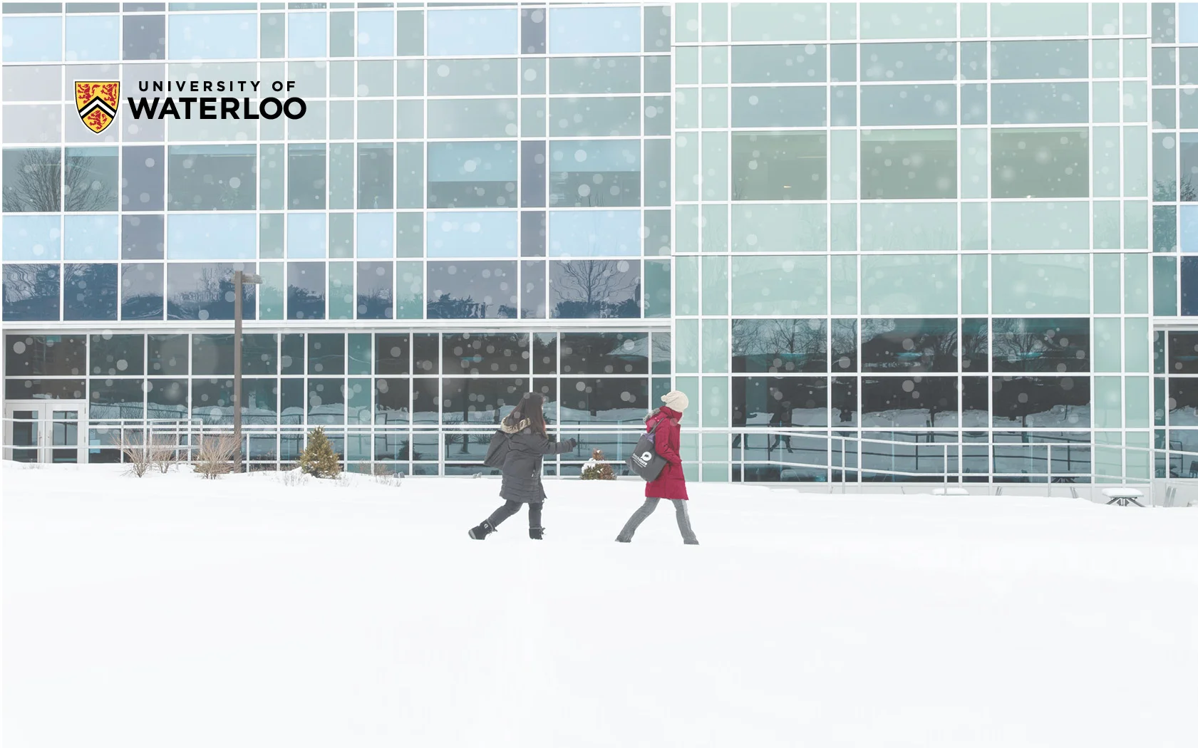 University of Waterloo Background