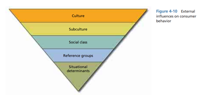 Figure 4-10 details a number of external influences on consumer behavior. Describe each of these...