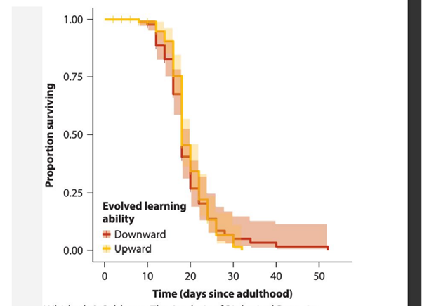 The ability to learn is a very useful skill, so it is not clear why more organisms have not evolved...-1