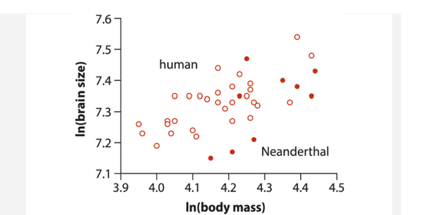 Were Neanderthals smaller-brained than modern humans? Estimates of cranial capacity from fossils...-2