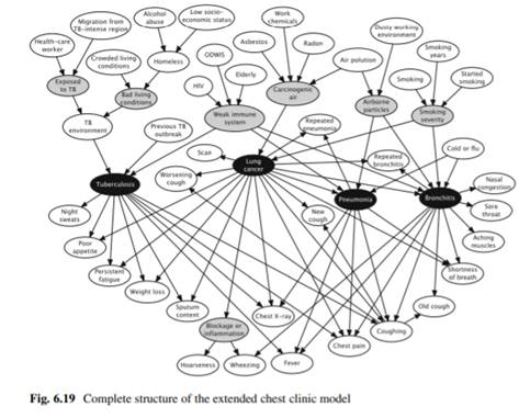 Consider the structure of the extended chest clinic model in Fig. 6.19 on page 172: (a) Which kinds...