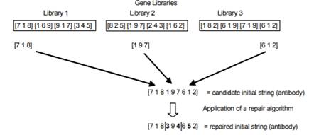 Use a bone marrow algorithm to define genes for gene libraries to be used to generate the initial...-2