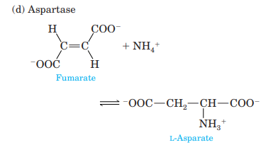 On the basis of the classification given in Section 23.2, decide to which group each of the...-2