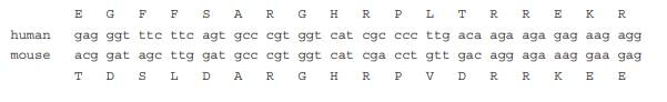 Calculate by hand the dN/dS ratio (?) for the following pair of sequences. The following are codon...