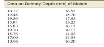 In addition to degree of wear, the researchers recorded the dentary depth of molars (in millimeters)...