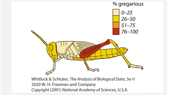 When its numbers increase following favorable environmental conditions, the desert locust,...