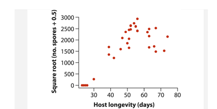 The parasitic bacterium Pasteuria ramosa castrates and later kills its host, the crustacean Daphnia...