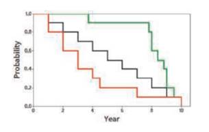 What is a Kaplan-Meier cumulative survival curve?