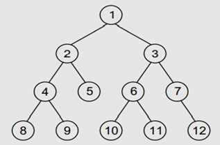 Draw the memory representation of the binary tree given below.