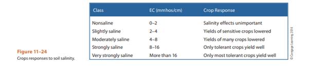 With a combination EC/pH meter, like that shown in Figure 13–11, use a 2:1 extraction to measure EC...-2