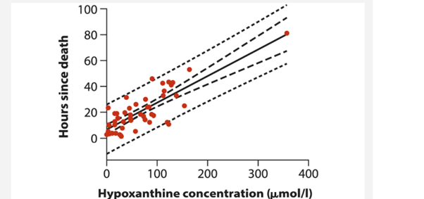 James et al. (1997) demonstrated that the chemical hypoxanthine in the vitreous humor (the colorless...