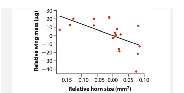 Many species of beetle produce large horns that are used as weapons or shields. The resources...-1