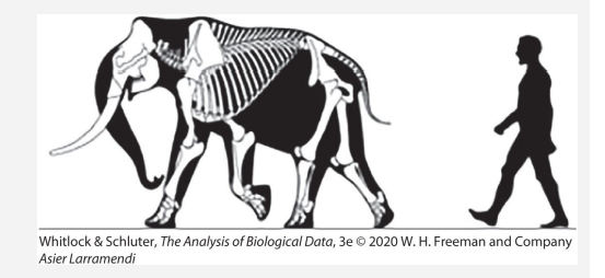 An imaginary researcher examined the 18 largest mammal species in the Americas that occur both on...