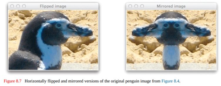 Write a function that returns an Image object that is a horizontally flipped version of the...