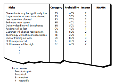 Develop a risk management strategy and specific risk management activities for three of the risks...