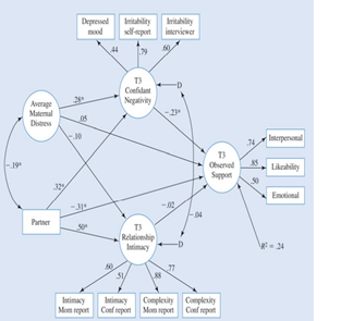 Support process model with mother, confidant, and relationship characteristics, controlling for...