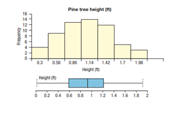 Pine trees are an excellent choice for someone looking for an attractive addition to their garden...-1