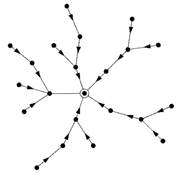 Suppose a directed network takes the form of a tree with all edges pointing inward towards a central...