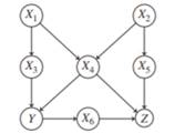 Suppose the causal relations between the variables (X1, X2, X3, X4, X5, X6, Y,Z) may be expressed by...-1