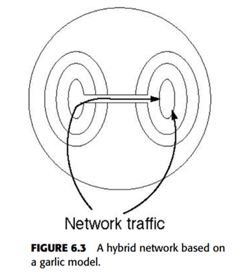 Hybrid networks may include shortcuts between layers within a garlic network. Figure 6.3 illustrates...