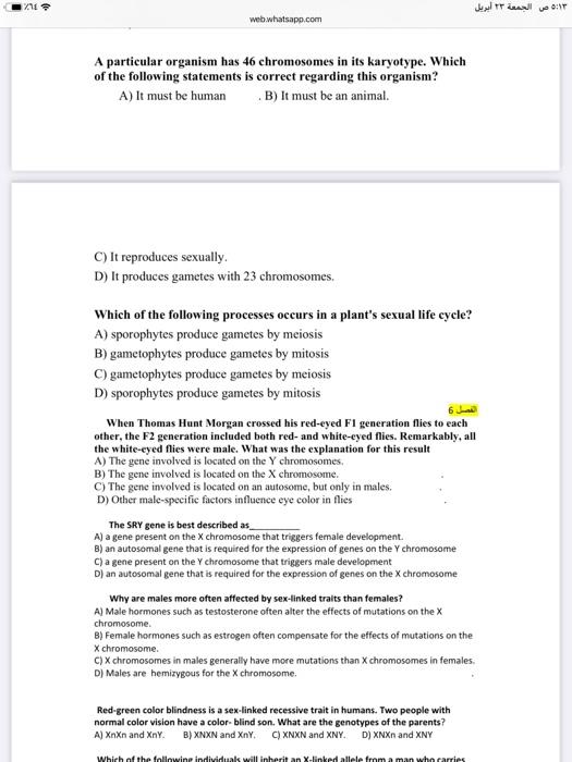 ?? ? ?????? ?? ????? web.whatsapp.com 1) Eukaryotic chromosomes are composed of which of the... ?? ?...-2