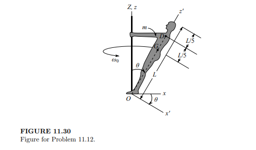 The acrobat in Figure 11.30 of mass m can be modeled as a slender rod connected to a ball-and-socket...