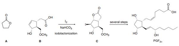 Lactones, cyclic esters such as compound A, are prepared by halolactonization, an addition reaction...