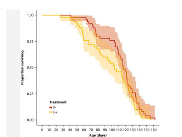 Females of the bumblebee species Bombus terrestris can change from a non-reproductive worker to a...-2