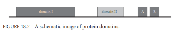 Write a program that creates schematic images of protein domains along the sequence (see Figure 18.2...