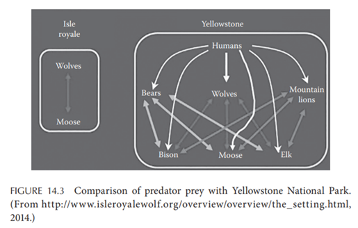 Population Dynamics Model One of the intensively studied populations of predators and prey is the...-1