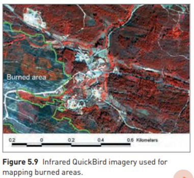 CASE STUDY Fireguard: using GIS and remote sensing for fire management Jim Hogg The Fireguard...-1