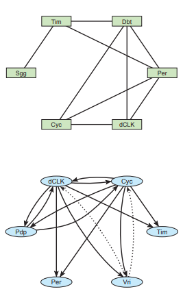 (Inference of Gene Regulation from Microarray Data). Regulatory interactions among genes are...-2