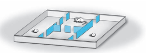 Psychology. A rat is placed in room F or room B of the maze shown in the figure. The rat wanders...