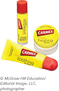 Carmex (B): Setting the Price of the Number One Lip Balm “Carmex is dedicated to providing consumers...-1