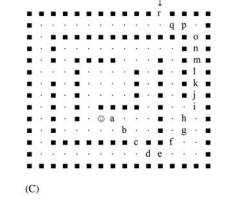 Check that the path through the maze shown in Fig. 23.14C is optimal, (1) by a hand calculation, and...