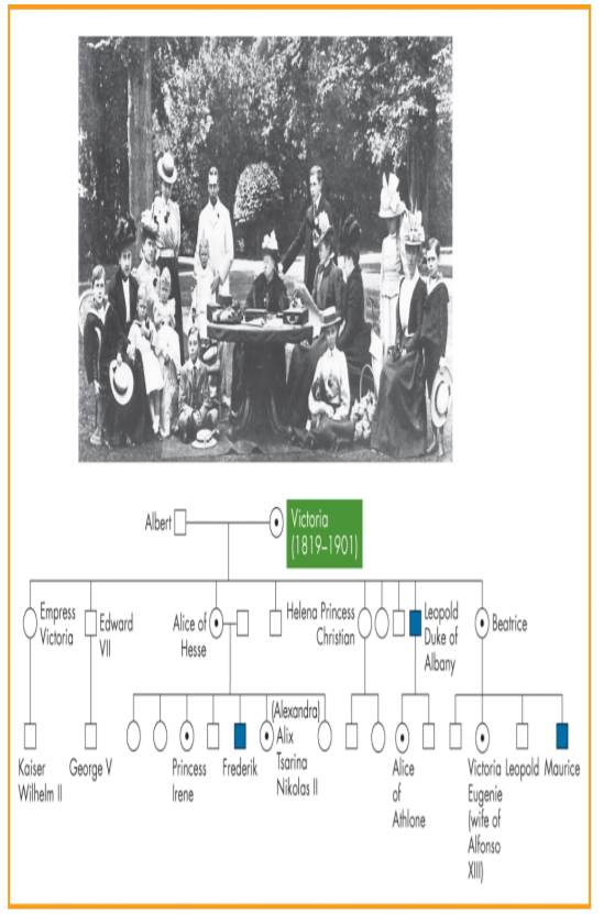 As noted in Chapter 3, sex-linked traits are carried on the sex chromosomes, although most are found...