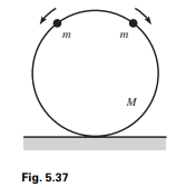 Two beads of mass m are initially at rest at the top of a frictionless hoop of mass M and radius R,...