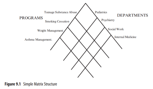 Return to the matrix organization shown in figure 9.1. How should program managers prepare their...