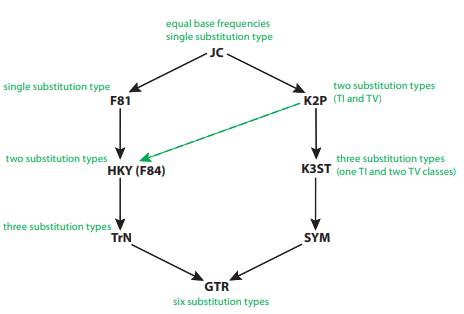 Arrange the different models depicted in Figure in an order that reflects the nesting of one model...