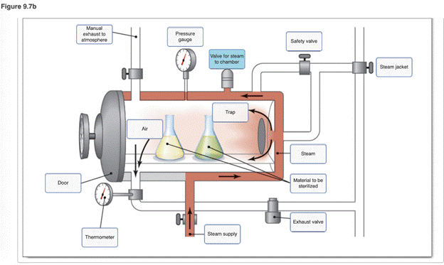 Label the schematic of the autoclave with the correct descriptions. Drag the appropriate labels to...