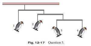 Figure 12-17 shows a mobile of toy penguins hanging from a ceiling. Each crossbar is horizontal, has...-1