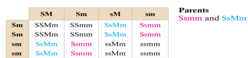 Genetics There are six basic types of coloring in registered collies: sable (SSmm), tricolor (ssmm),...