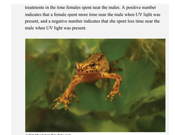 In many animal species, individuals communicate using ultraviolet (UV) signals, such as bright...-1