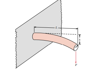 (a) A cylindrical cantilever beam is subjected to a force F, as indicated in the figure below....-3