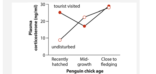 A study of the Magellanic penguin (Spheniscus magellanicus) measured stress-induced levels of the...-2