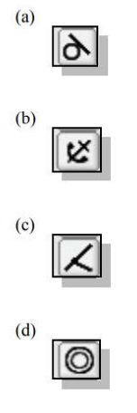 Identify and describe the following constraints.