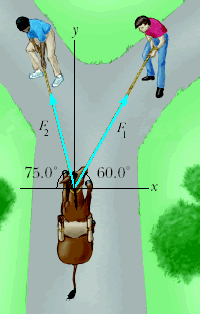 The helicopter view in the figure below shows two people pulling on a stubborn mule. Assume that F1...